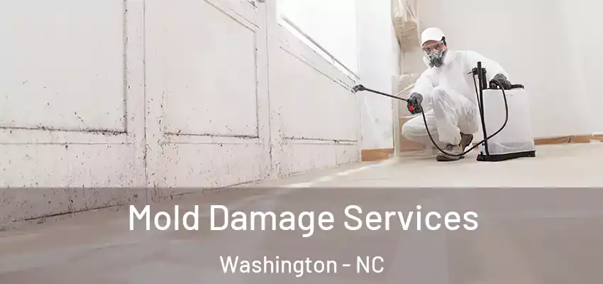  Mold Damage Services Washington - NC