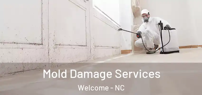  Mold Damage Services Welcome - NC