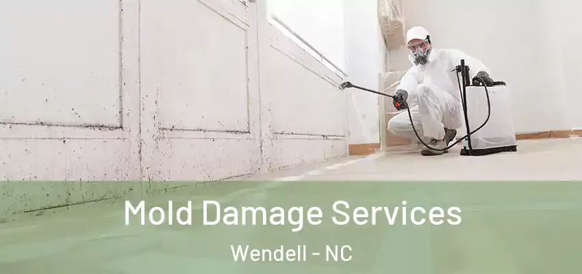 Mold Damage Services Wendell - NC