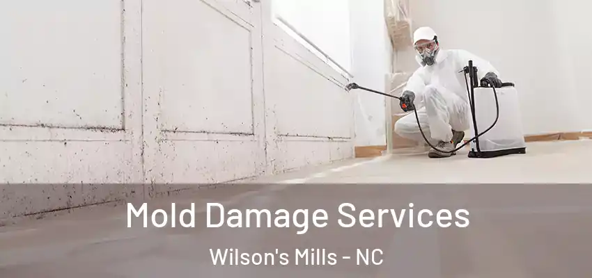 Mold Damage Services Wilson's Mills - NC