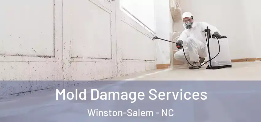  Mold Damage Services Winston-Salem - NC