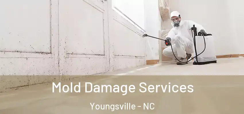 Mold Damage Services Youngsville - NC