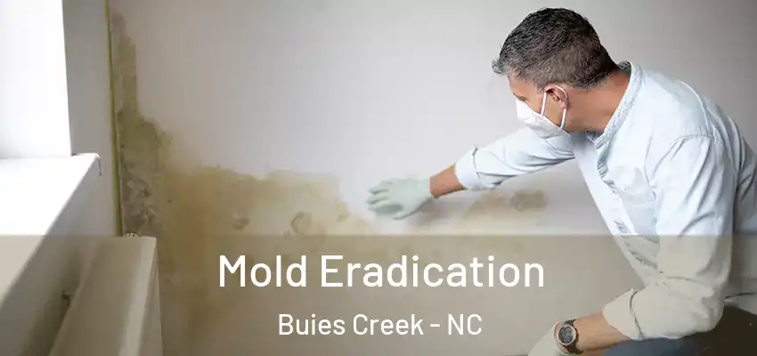  Mold Eradication Buies Creek - NC