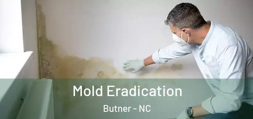  Mold Eradication Butner - NC