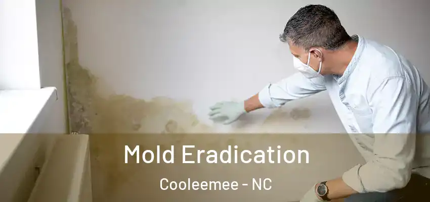 Mold Eradication Cooleemee - NC
