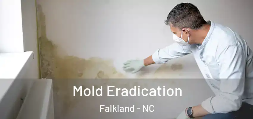  Mold Eradication Falkland - NC