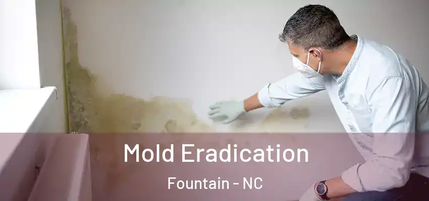 Mold Eradication Fountain - NC