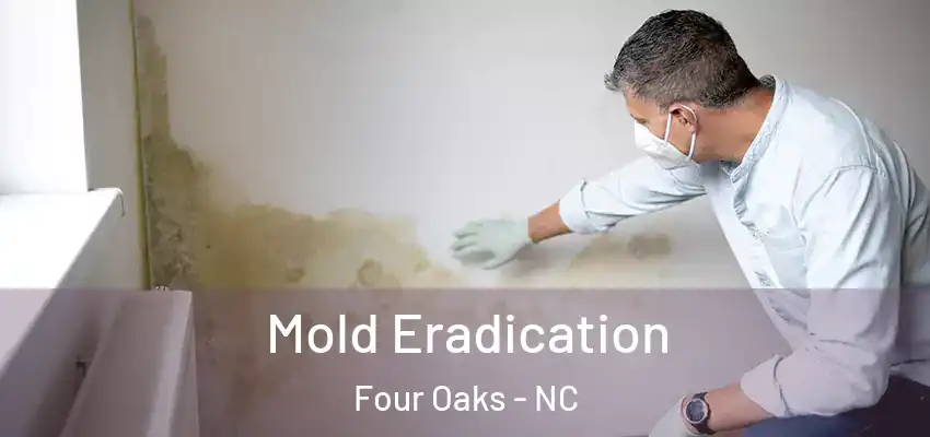  Mold Eradication Four Oaks - NC