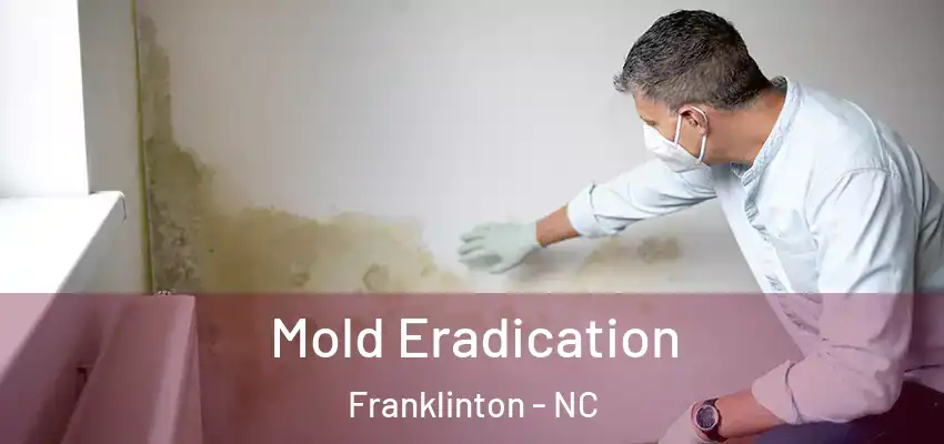  Mold Eradication Franklinton - NC