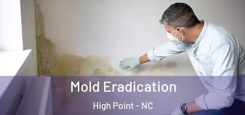  Mold Eradication High Point - NC