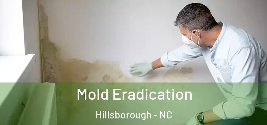  Mold Eradication Hillsborough - NC