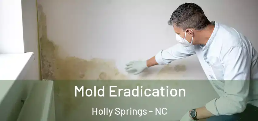 Mold Eradication Holly Springs - NC