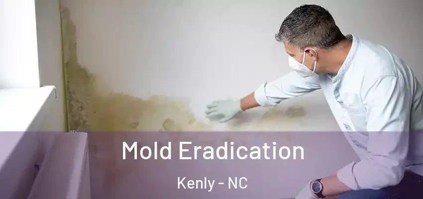  Mold Eradication Kenly - NC