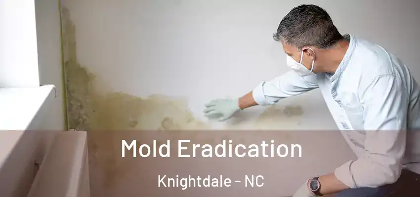  Mold Eradication Knightdale - NC