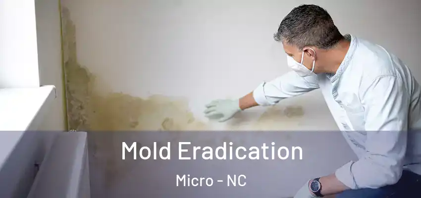Mold Eradication Micro - NC