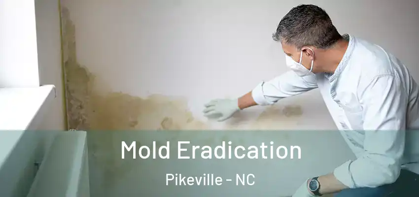  Mold Eradication Pikeville - NC