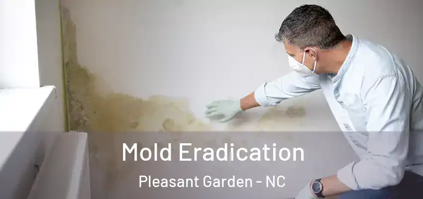  Mold Eradication Pleasant Garden - NC