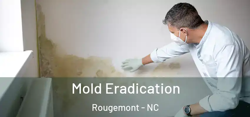  Mold Eradication Rougemont - NC