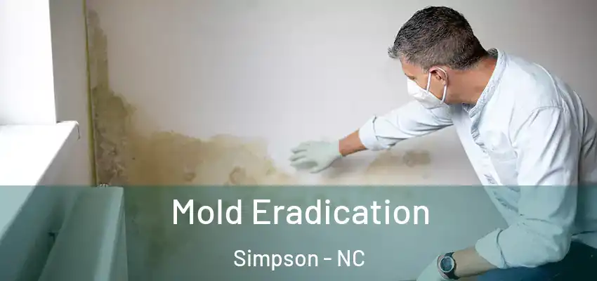  Mold Eradication Simpson - NC