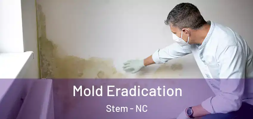 Mold Eradication Stem - NC