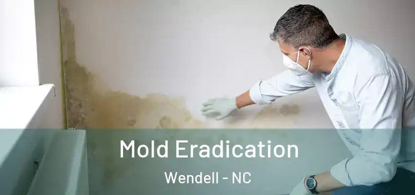 Mold Eradication Wendell - NC