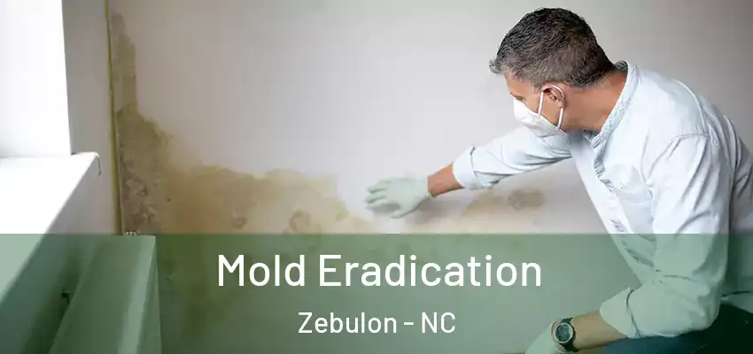 Mold Eradication Zebulon - NC
