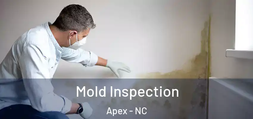  Mold Inspection Apex - NC