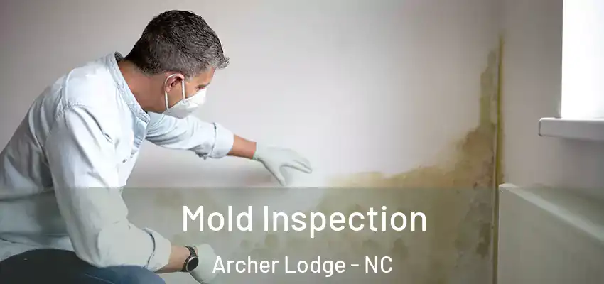  Mold Inspection Archer Lodge - NC