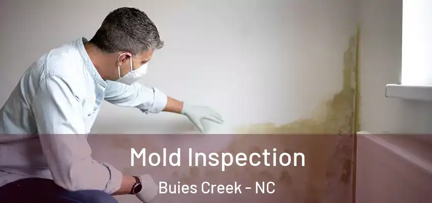  Mold Inspection Buies Creek - NC