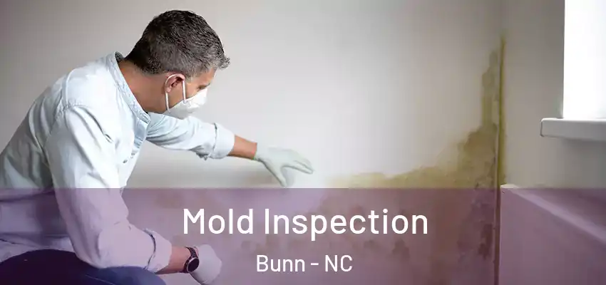  Mold Inspection Bunn - NC