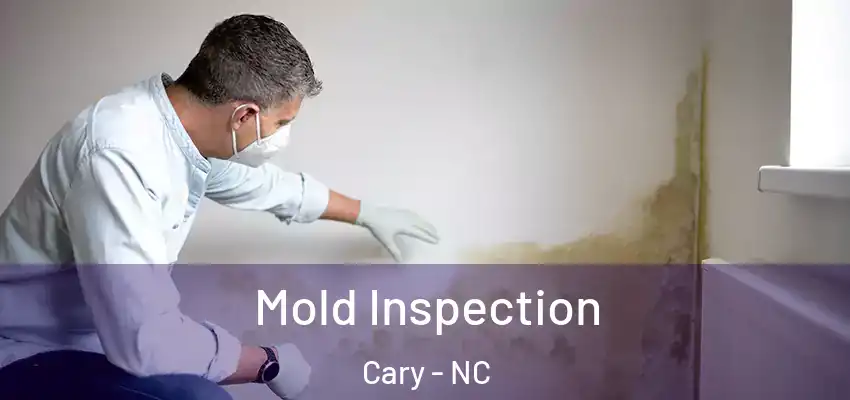  Mold Inspection Cary - NC