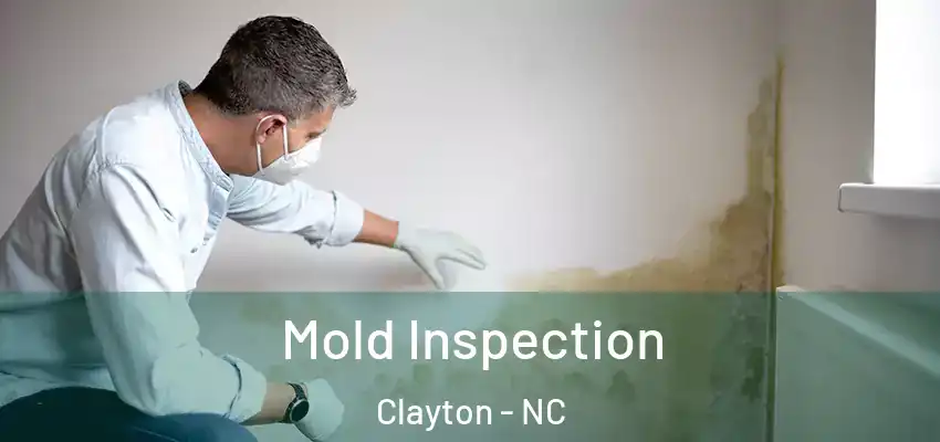 Mold Inspection Clayton - NC