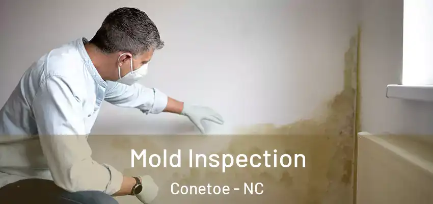  Mold Inspection Conetoe - NC