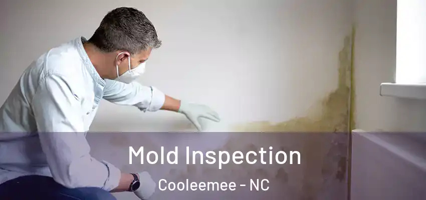  Mold Inspection Cooleemee - NC