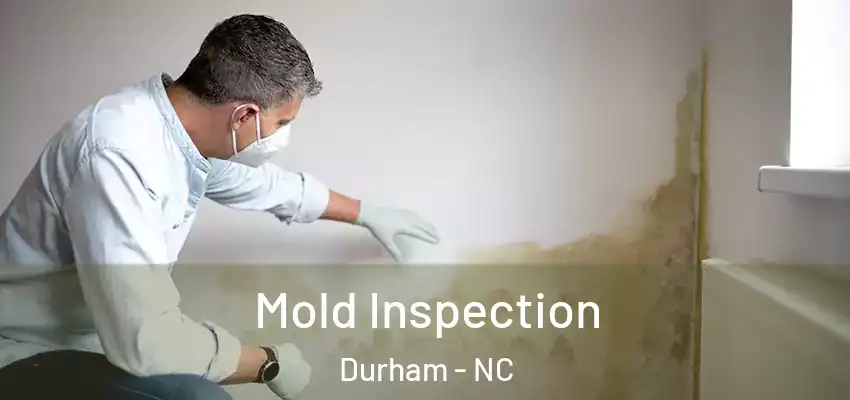  Mold Inspection Durham - NC