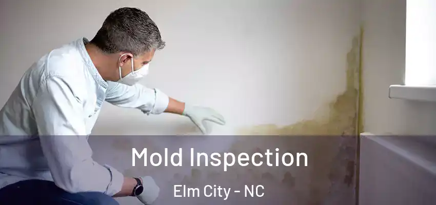 Mold Inspection Elm City - NC