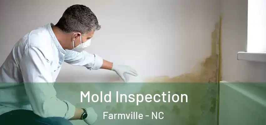 Mold Inspection Farmville - NC