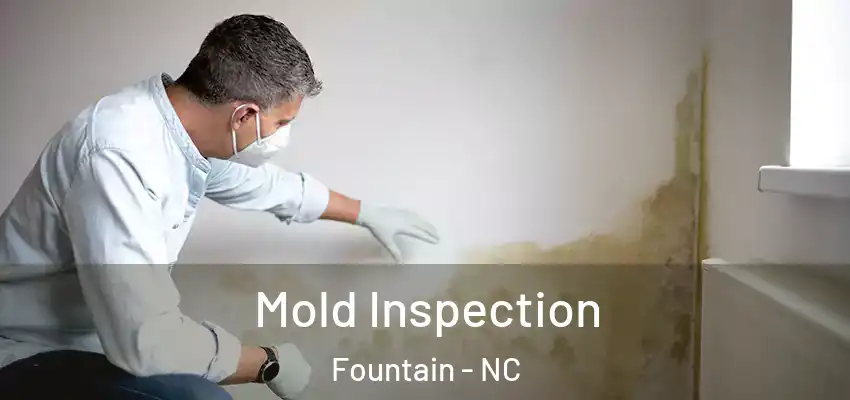  Mold Inspection Fountain - NC