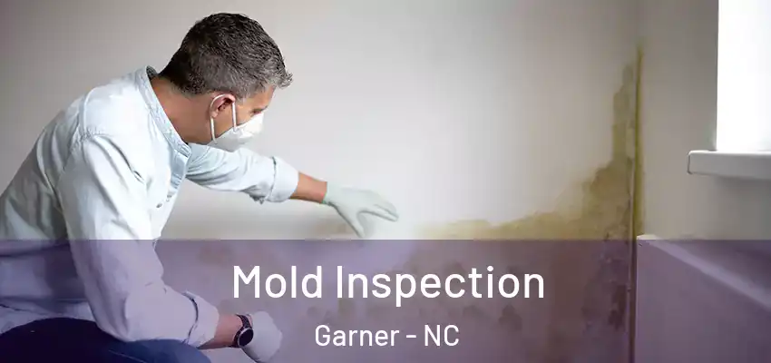  Mold Inspection Garner - NC