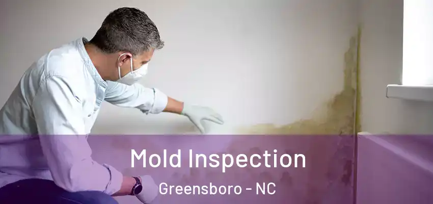 Mold Inspection Greensboro - NC