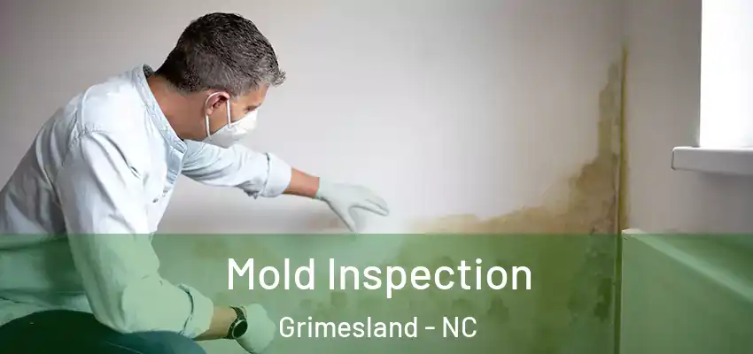  Mold Inspection Grimesland - NC