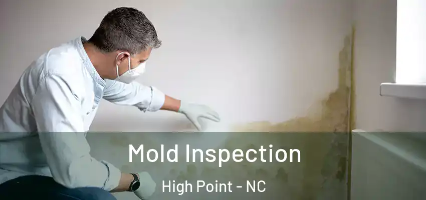  Mold Inspection High Point - NC