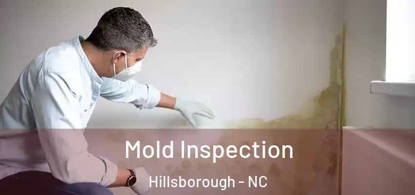 Mold Inspection Hillsborough - NC