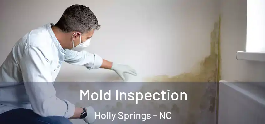  Mold Inspection Holly Springs - NC