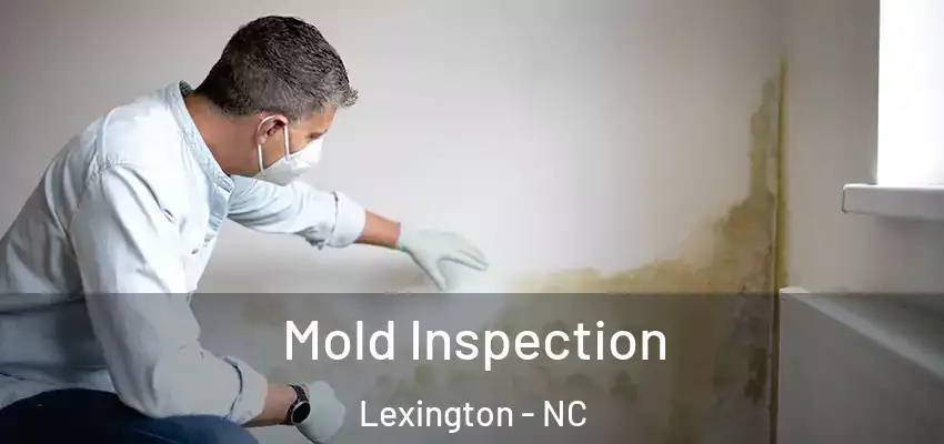  Mold Inspection Lexington - NC