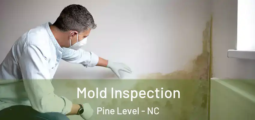  Mold Inspection Pine Level - NC