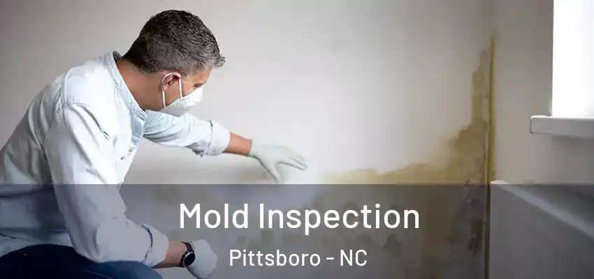 Mold Inspection Pittsboro - NC