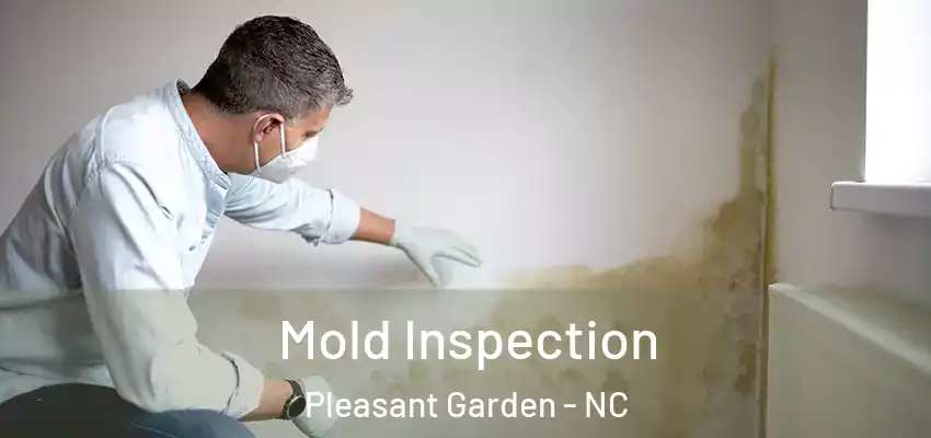  Mold Inspection Pleasant Garden - NC