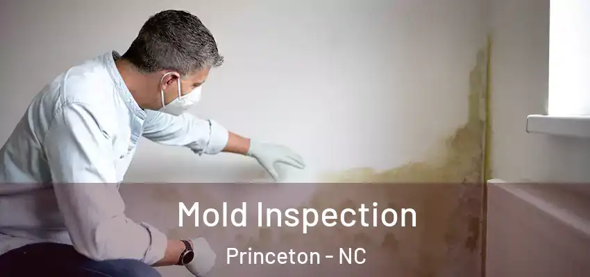 Mold Inspection Princeton - NC