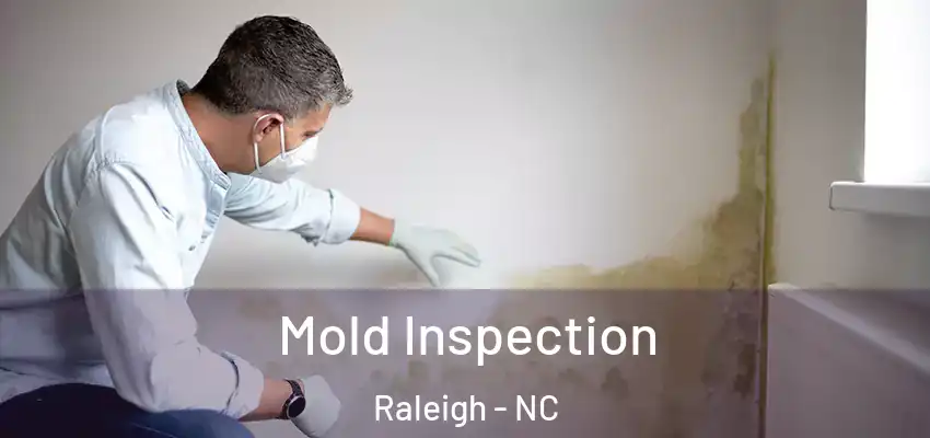 Mold Inspection Raleigh - NC